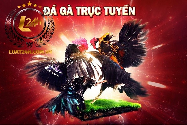 da-ga-truc-tuyen